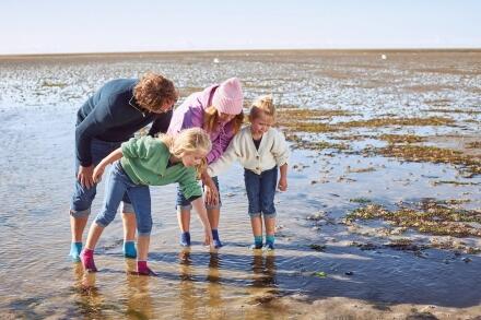Unbeschwert mit der ganzen Familie durch das Wattenmeer